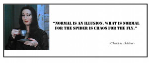 Normal is an illusion. What is normal for the spider is chaos for ...