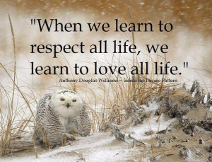 ... to respect all life, we learn to love all life. - Anthony D. Williams