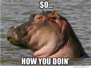 So… how you doing – Hippo