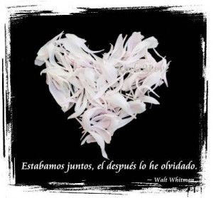 Quotes About Love Spanish Translation