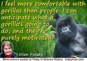 Dian Fossey quote I feel more comfortable with gorillas
