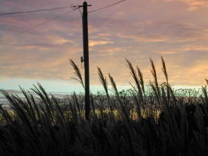 http www brainyquote com quotes keywords sunset html 50y5foz3rrcqprds ...