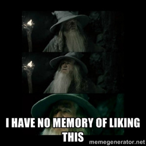 Confused Gandalf - I HAVE NO MEMORY OF LIKING THIS
