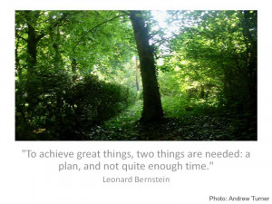 To achieve great things quote