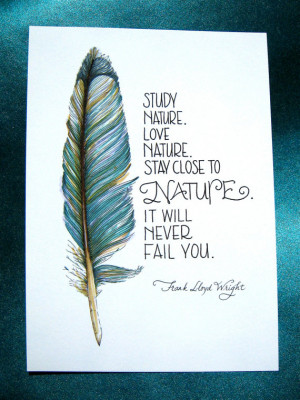 Feather Art - Study Nature, Love Nature Quote - Frank Lloyd Wright ...