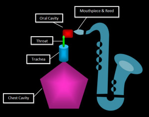 origins of tone diagram, saxophone, chest cavity, trachea, throat ...