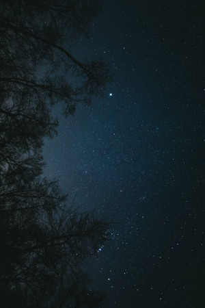 ... back trees indie Grunge night galaxy stars dark nature peace bohemian