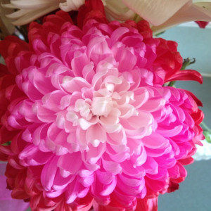 Prettiest flower ever: Green Thumb, Prettiest Flower, Floral Life ...