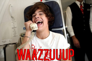 Harry Styles One Direction scream scary movie