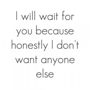 Will Wait For You