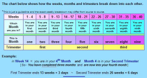Re: When does the third trimester start?