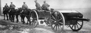 ... of the heavy work during World War One, including pulling artillery