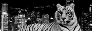 THE WHITE TIGER