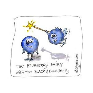 Cartoon Fruit Clipart - Cute Funny Sayings