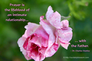 Spiritual Quote – Dr. Charles Stanley