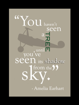 Amelia Earhart Quotes About Dreams