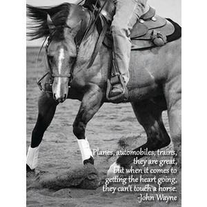 Horse quotes Horse Quotes