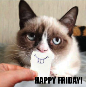 Grumpy Cat Is Finally Happy Friday