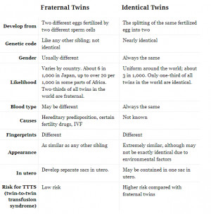 Difference Between Identical Fraternal Twins