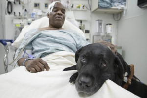 Blind Man Hit By Train May Lose Dog?!