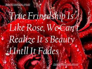true friendship quotes for facebook cover true friends facebook covers