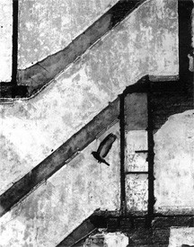 Andre Kertesz