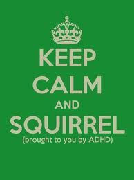 adhd squirrel more adhd laugh quotes squirrels funny stuff keepcalm ...