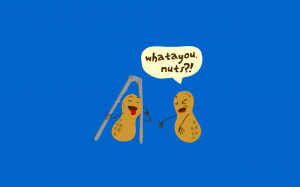 download now Its about Nuts Simple Funny Wallpapers Picture