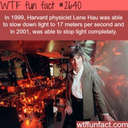 Lene Hau, the woman that stopped the light - WTF fun facts