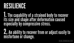 resilience definition