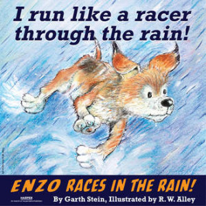 Enzo_Races_in_the_Rain-330.jpg