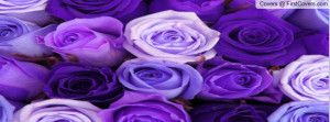 purple roses Profile Facebook Covers