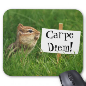 Carpe Diem! Chipmunk with Sign Mouse Pad