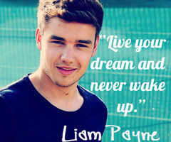 One Direction Quotes Liam One direction liam quotes 1d