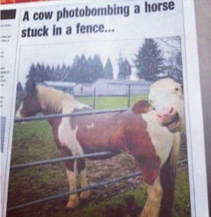 Return to Funny Photobombs – 45 Pics