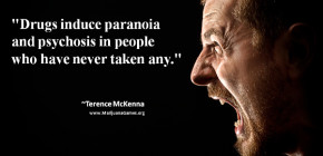 Marijuana Quote by Terence McKenna #2 600x400