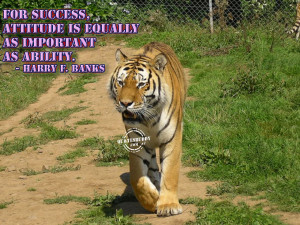 attitude-quotes-graphics-Importance Of Attitude