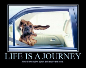 car-humor-funny-joke-road-street-drive-driver-life-is-a-journey-enjoy ...