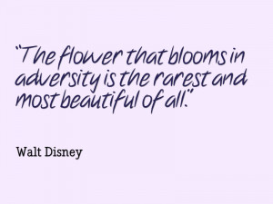 Walt-Disney-The-flower-that-blooms-in-adversity-is-the-rarest-and-most ...