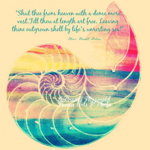 Oliver Wendell Holmes Seashells Quote Choose by BrandiFitzgerald, $15 ...