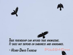 ... afford true knowledge. It does not depend on darkness and ignorance