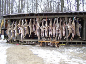 These are some of Posts Tagged Deer Hunting Sayings pictures