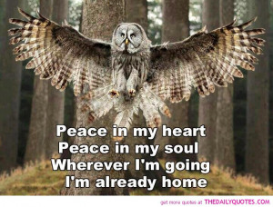 Owl Quotes And Sayings Picfly