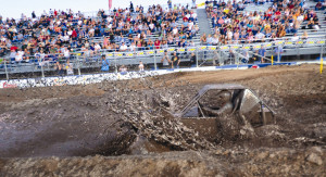 Displaying 20> Images For - Mudding Quotes...