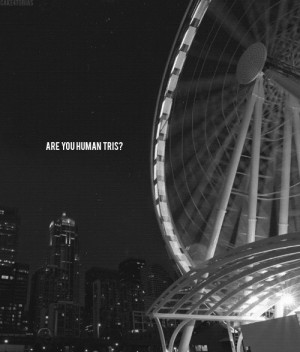 1k gifs Ferris Wheel Tobias divergent Veronica Roth insurgent tobias ...