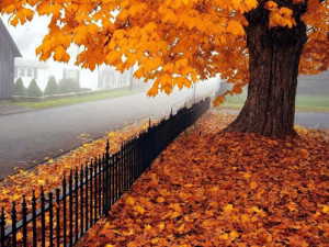 Autumn Poetry for October and Fall