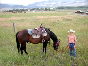 Cowboy And His Horse Cade and rachel's horse connor