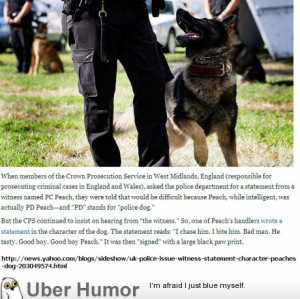 Police dog success, narrated to perfection