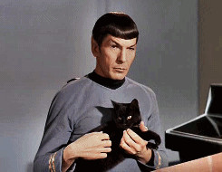 Live Long and Prosper Little Kitty!