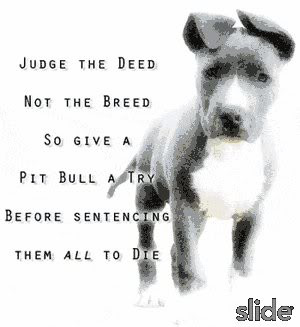 Pitbulls deserve better.